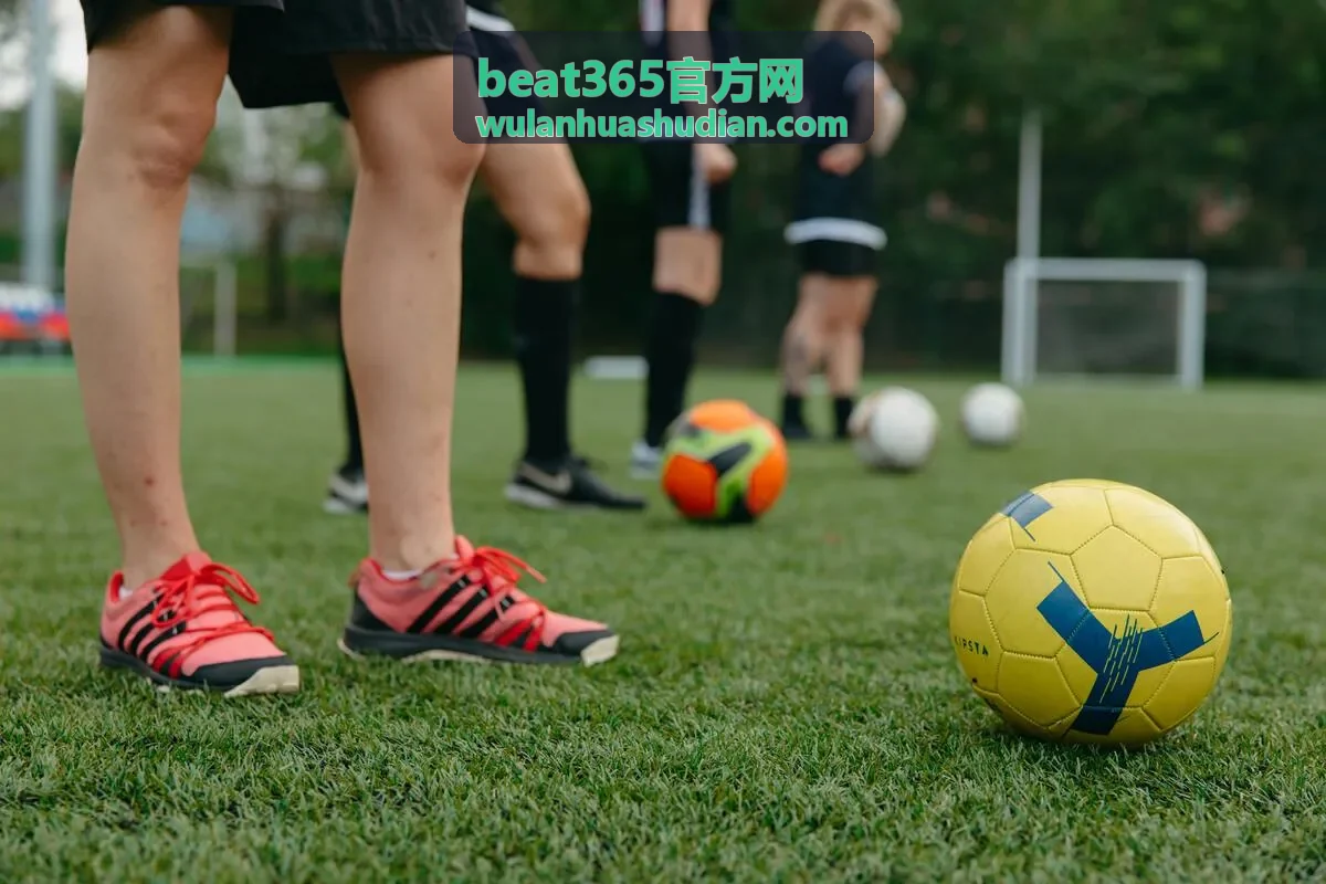 beat365官方网古籍书抄栏目里的山家清供